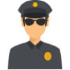 Поліцейська діяльність